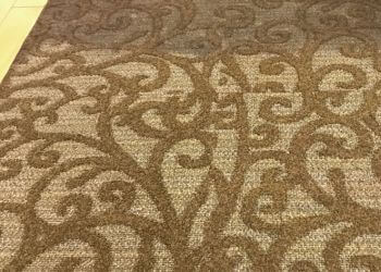 Plano Carpet Cleaners Cyclone Professional Cleaners