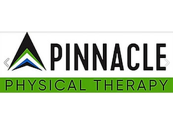 DAN BURKE PT DPT PINNACLE PHYSICAL THERAPY SERVICES in