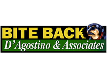 New York Social Security Disability Lawyers D'Agostino and Associates, P.C.