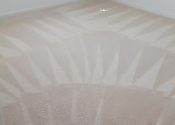 Santa Maria Carpet Cleaners DBest