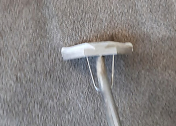 Santa Maria Carpet Cleaners DBest