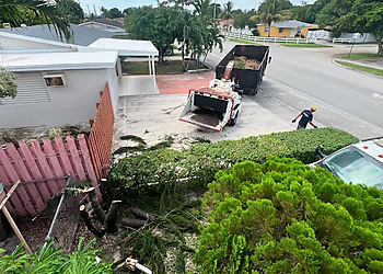 Hialeah Tree Services D&D Tree Service