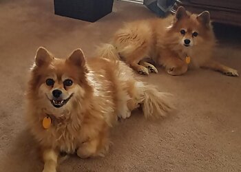 Fort Worth Dog Walkers DFW Pet Sitting Services, Inc.