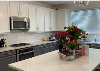 Sacramento Painters DL painting