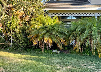 Ontario Tree Services D&N Tree Care Inc.