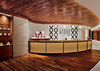 Detroit Spas D.TOUR Spa