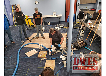 Sunnyvale Carpet Cleaners DWES Enterprise