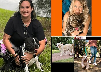 Fort Lauderdale Dog Walkers Daily Dog Walkers & Pet Sitters of Fort Lauderdale