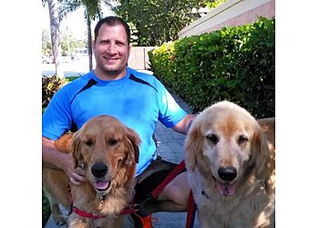 Daily Dog Walkers & Pet Sitters of Fort Lauderdale Fort Lauderdale Dog Walkers image 1