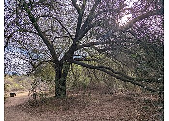 Escondido Hiking Trails Daley Ranch