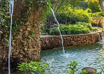 Dallas Places To See Dallas Arboretum and Botanical Garden