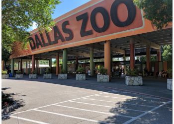 Dallas places to see Dallas Zoo