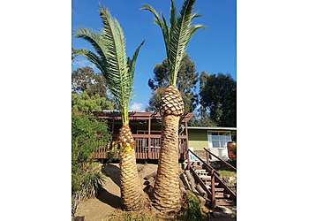  Damian Landscaping Fontana Landscaping Companies image 1