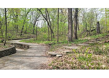 Chicago Hiking Trails Dan Ryan Woods