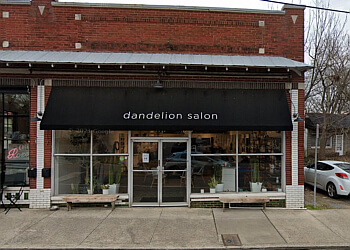 Dandelion Salon Nashville Hair Salons