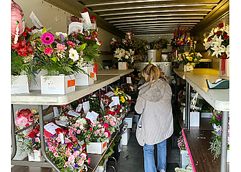 Eugene Florists Dandelions Flowers & Gifts