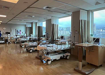 Honolulu Orthopedics Daniel I. Singer, MD