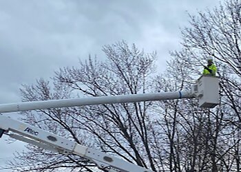 Cleveland Tree Services Danny’s Tree Service