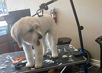 Memphis Pet Grooming Daphne's Pet Grooming and Boarding