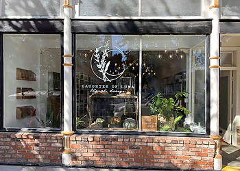 Vallejo Florists Daughter of Luna