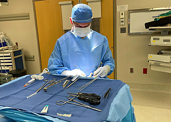Philadelphia Plastic Surgeon David A. Ehrlich, MD - EHRLICH PLASTIC SURGERY