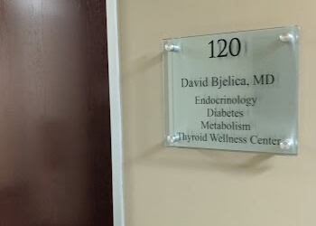 Thousand Oaks Endocrinologists David Bjelica, MD - ENDOCRINOLOGY, DIABETES AND METABOLISM CLINIC