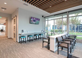 Sacramento Orthodontists David Markham, DDS, MSD - MARKHAM ORTHODONTICS