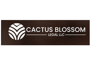 Surprise Divorce Lawyers David R. G. Mercer, Esq. - CACTUS BLOSSOM LEGAL LLC