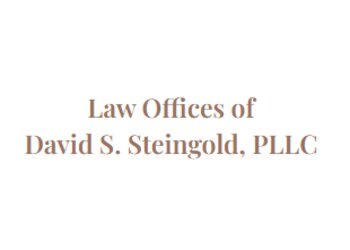 Detroit Civil Litigation Lawyer David S. Steingold - LAW OFFICES OF DAVID S. STEINGOLD, PLLC
