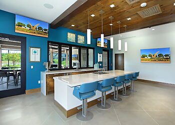 Arlington Home Builders David Weekley Homes