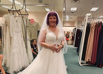 Cape Coral Bridal Shops David's Bridal Cape Coral