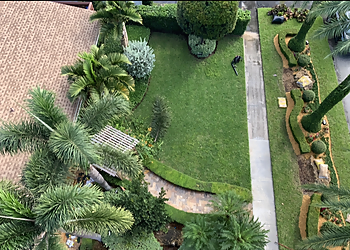 Hollywood Landscaping Companies Demarco and Sons Landscape and Design Group