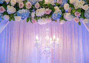 De Shanaza LLC - Yonkers, NY Wedding Planners - Service Highlights