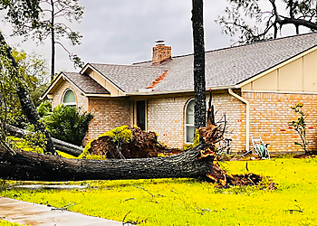 Pasadena Real Estate Agents Debbie Grigg - NEXTHOME FIRST SOURCE