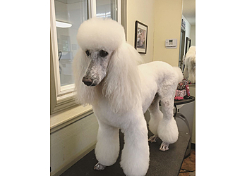 Thousand Oaks Pet Grooming Debbies Pet Grooming