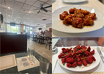 Delhi Cafe - Chattanooga, TN Indian Restaurants - collage image(highlights)