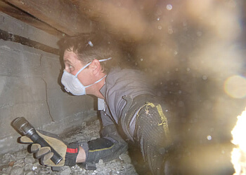 Stockton Pest Control Companies Delk Pest Control