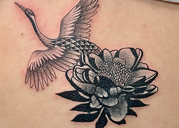 Chicago Tattoo Shops Deluxe Tattoo