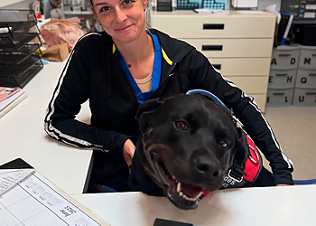 Peoria Veterinary Clinics Demanes Animal Hospital