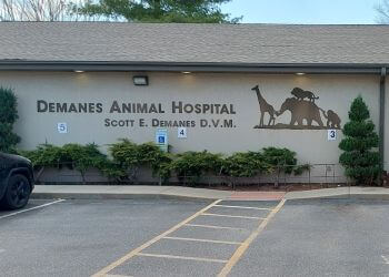 Demanes Animal Hospital Peoria Veterinary Clinics