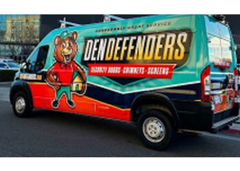 Den Defenders Chimney & Fireplace Service Stockton Chimney Sweep image 1