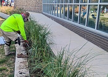 Fort Worth Landscaping Companies Denmark Lawn