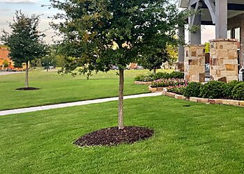 Denmark Lawn Fort Worth Landscaping Companies image 1