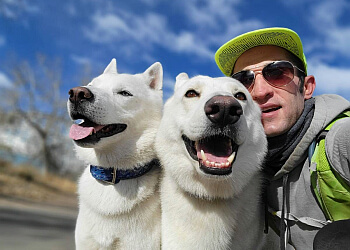 Denver Dog Walkers Denver Dog LLC