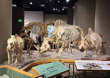 Denver Places To See Denver Museum of Nature & Science