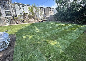 New York Lawn Care Services Dependable Lawn Care and Construction Corp