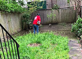 New York Lawn Care Services Dependable Lawn Care and Construction Corp