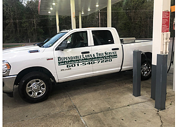 Dependable Lawn and Tree Service Jackson Lawn Care Services image 1