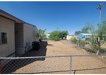 Mesa lawn care service Desert Affects Landscaping