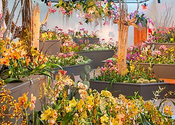 Phoenix Places To See Desert Botanical Garden